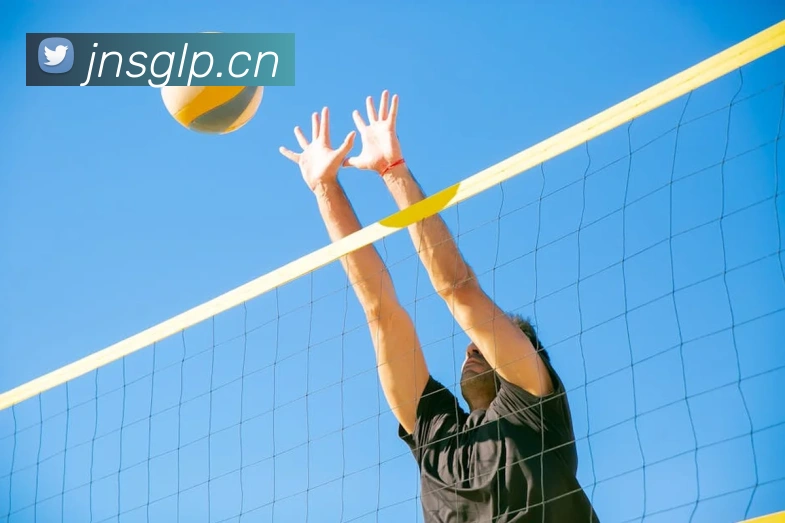 hth官网发展历程